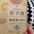 双子座