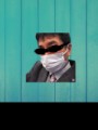 真一