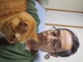 ソロ