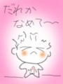 白クマ36