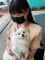ぱるる