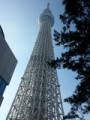 ショウですさん