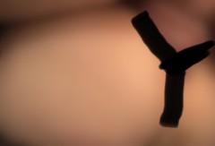 【お題日記】ギリ見せられるエッチな写真