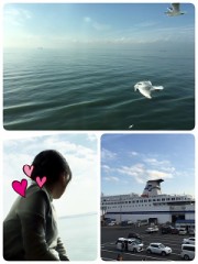 【お題日記】船旅ってしたことある？
