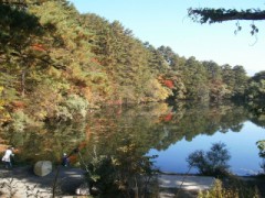 週末は紅葉を見にドライブでした＾＾
