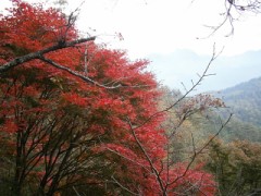 絶対滑らないドライブコース