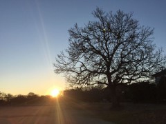 2016年、明けましておめでとうございます！