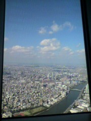 【お題日記】一人で寂しくないですか？