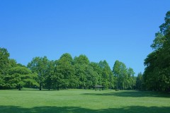 またオヤジたちとのGW