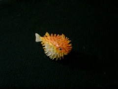 久しぶりじゃん！