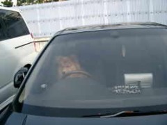 だって犬だもの