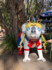 あなたのポートレート