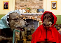 【お題日記】出会えたら最初に何をする?