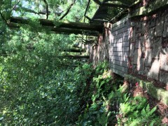 お出掛け日和♪