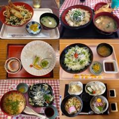【お題日記】フグ食べたことある？