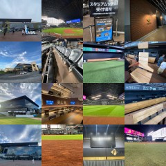 【お題日記】令和7年の抱負をどうぞ