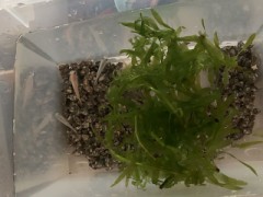 癒される～(* ´  ` *)