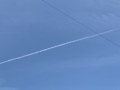 今日は(p´>ω<`; )