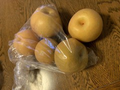 "(ﾉ*>∀<)ﾉﾜｧｨ