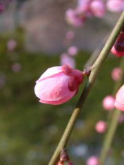 出会い系って・・・