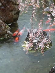 出会い系で考えること