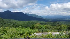 毎年恒例の蒜山