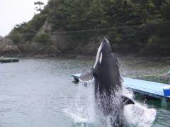 仮面ライダー。。