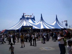 サーカスがやってきた！