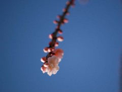 暖かくなってきました