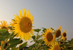 なんなんだ。。？！