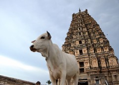 インド国内旅行