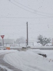 雪雪雪