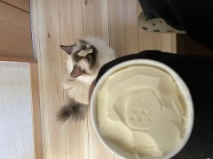 どちらがお好みですか？