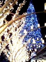 ちょっとだけ・・