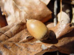 ( ・_・　)ｼﾞｰ