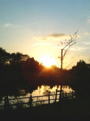 [壁]ノ_・。) グスン