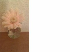 いちりんざし。