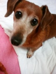 つまんじゃ…ダメ(>_<)