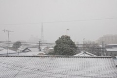 雪～