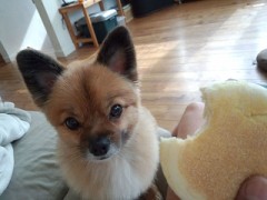 【お題日記】相性が良くない人の対処法は？