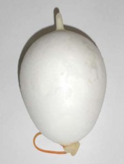 官能的なアイス