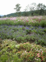 季節の変わり目