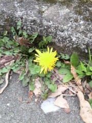 み～つけた！！