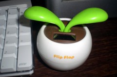 フリップフラップ