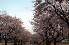 仕事のストレス