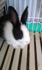 ☆初めましてー！！！