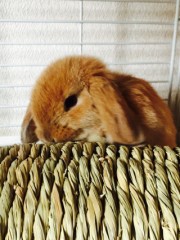 おぼえてますか、？