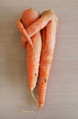 ヒトも自分もこうありたい♪