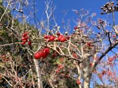 昔の日記や手帳取ってる？