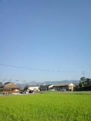 今朝も素敵な朝です